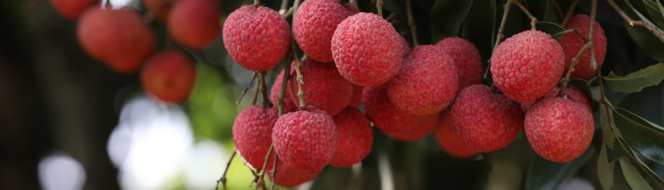 banner-hd-03.jpg