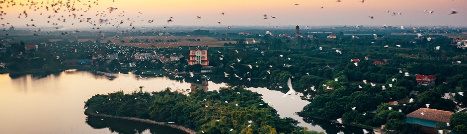 banner-hd-04.jpg