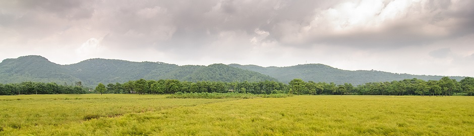 banner-hd-05.jpg